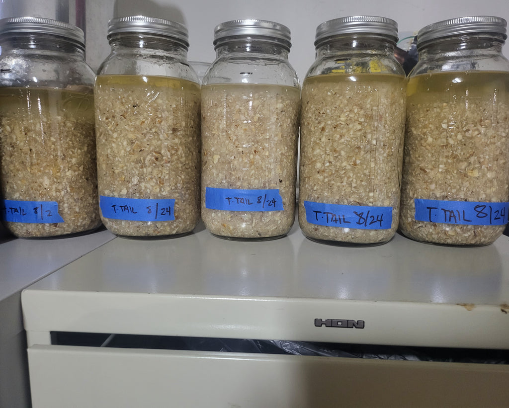 Turkey Tail Dual Extraction image 8