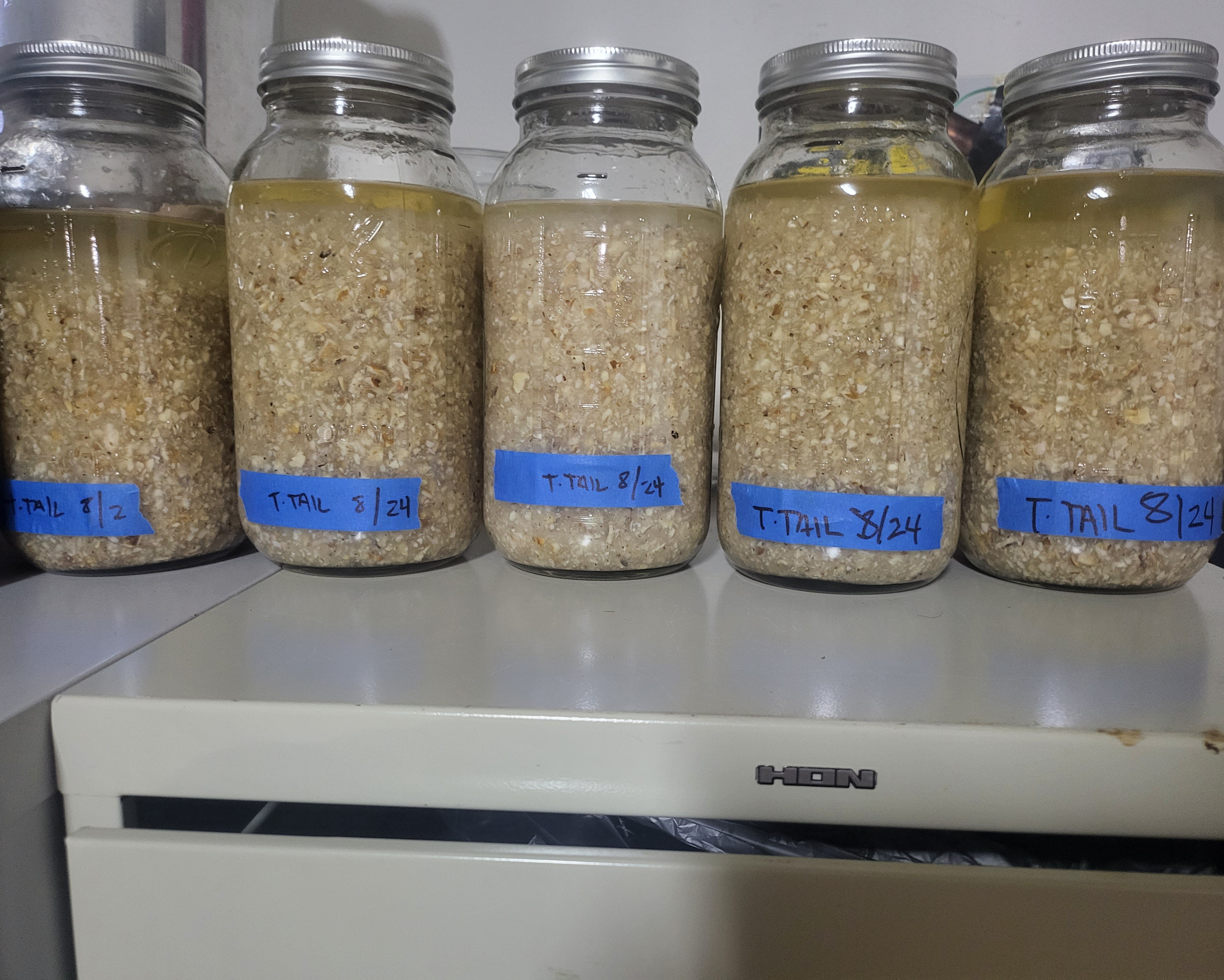 Turkey Tail Dual Extraction image 8