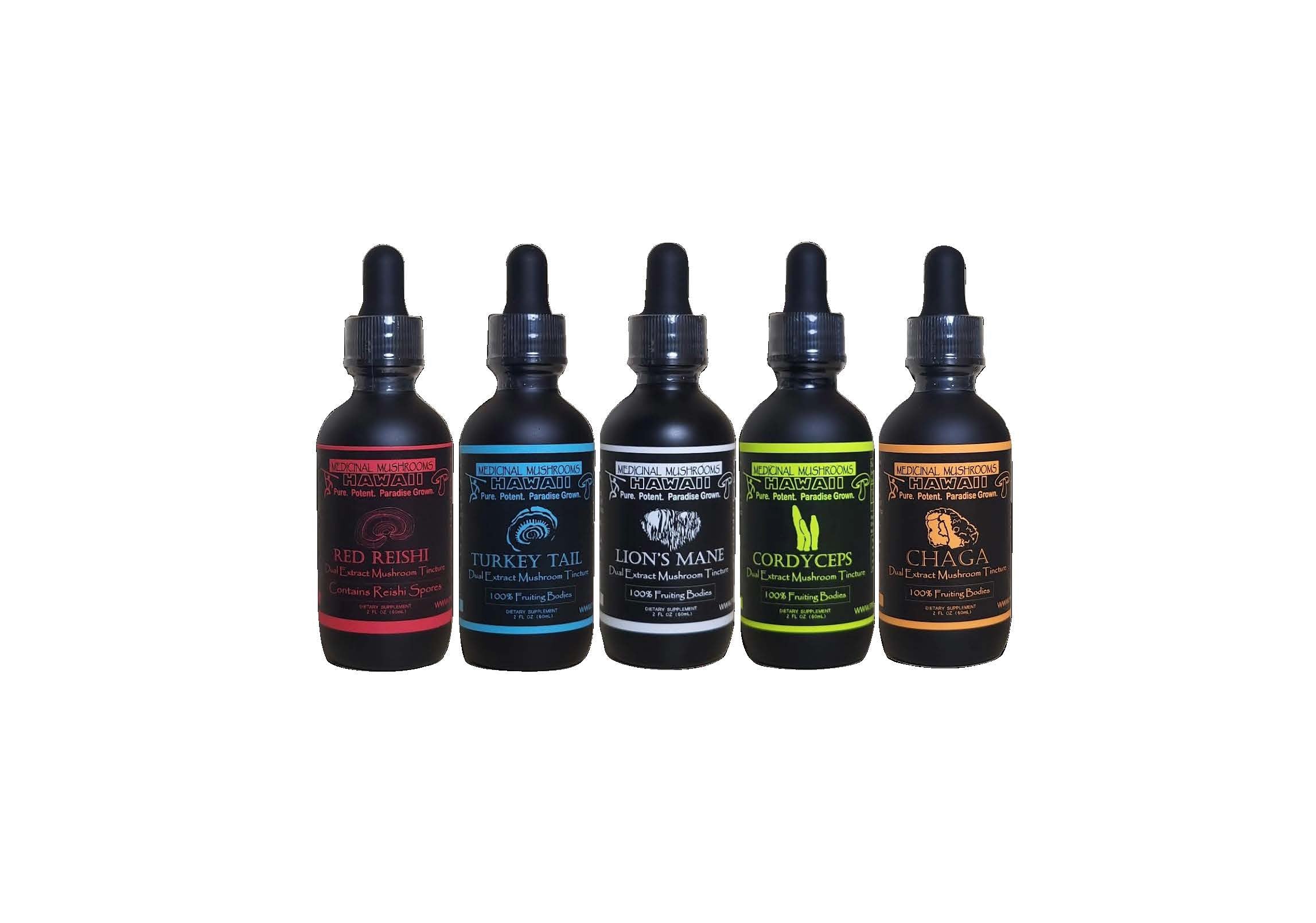 The Apex Collection Bundle