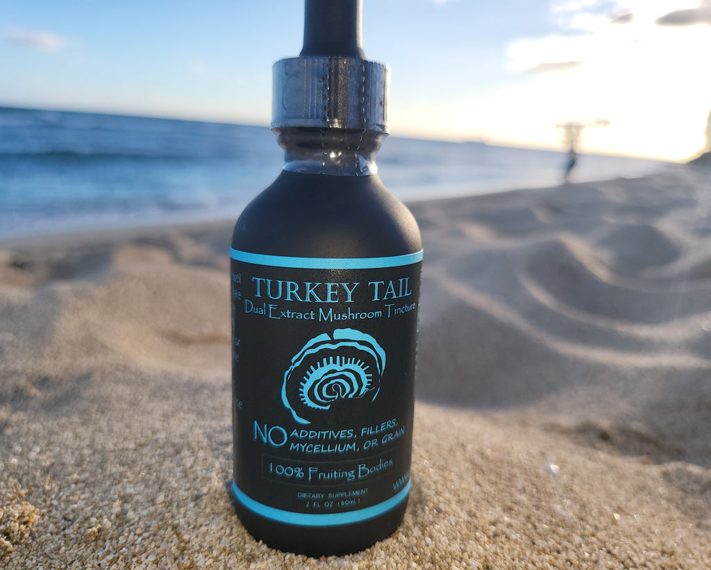 Turkey Tail Dual Extraction image 0