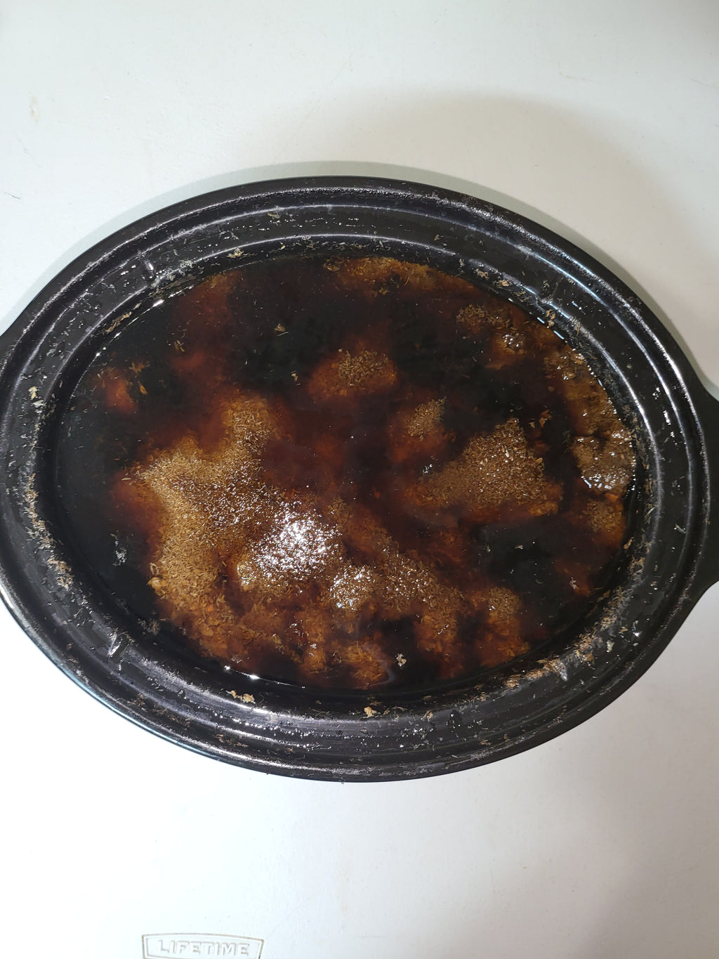 Turkey Tail Dual Extraction image 9