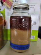 Lion's Mane Dual Extract Tincture image 6