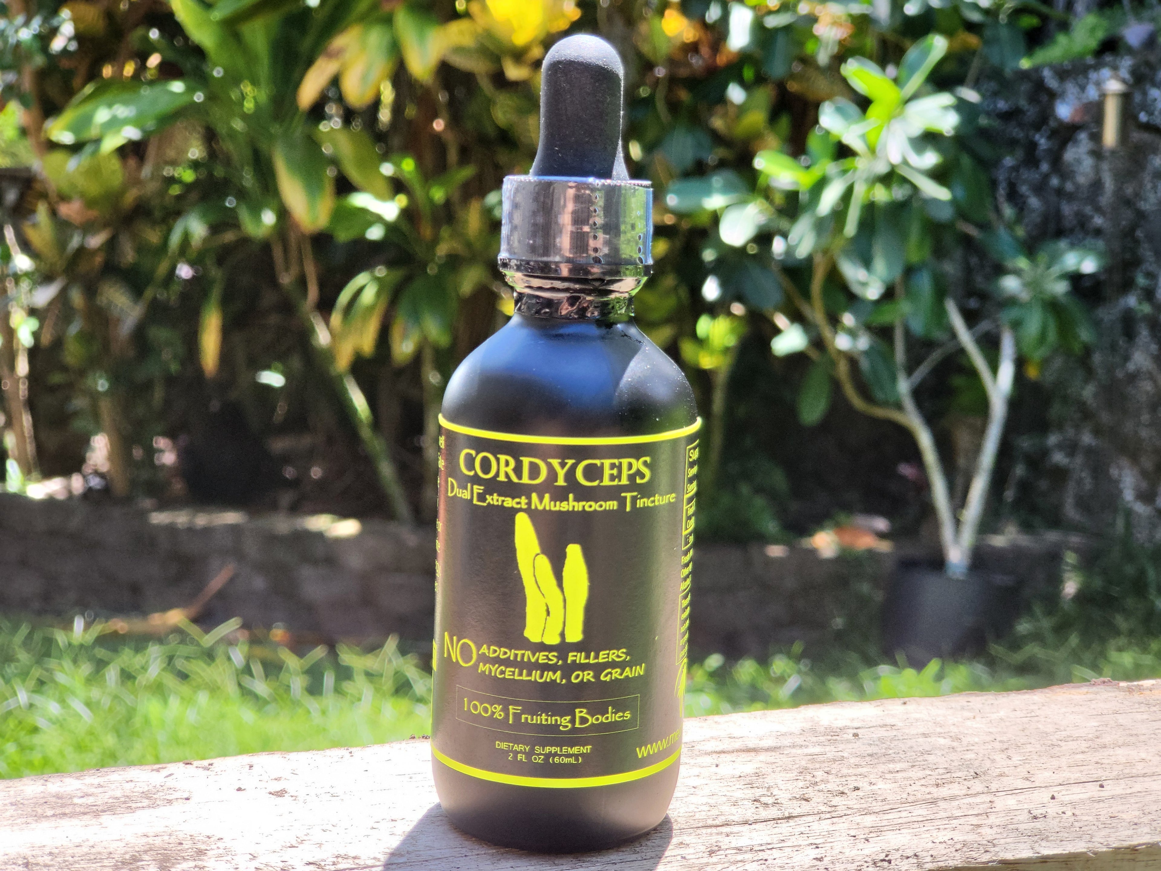 Cordyceps Dual Extraction Tincture