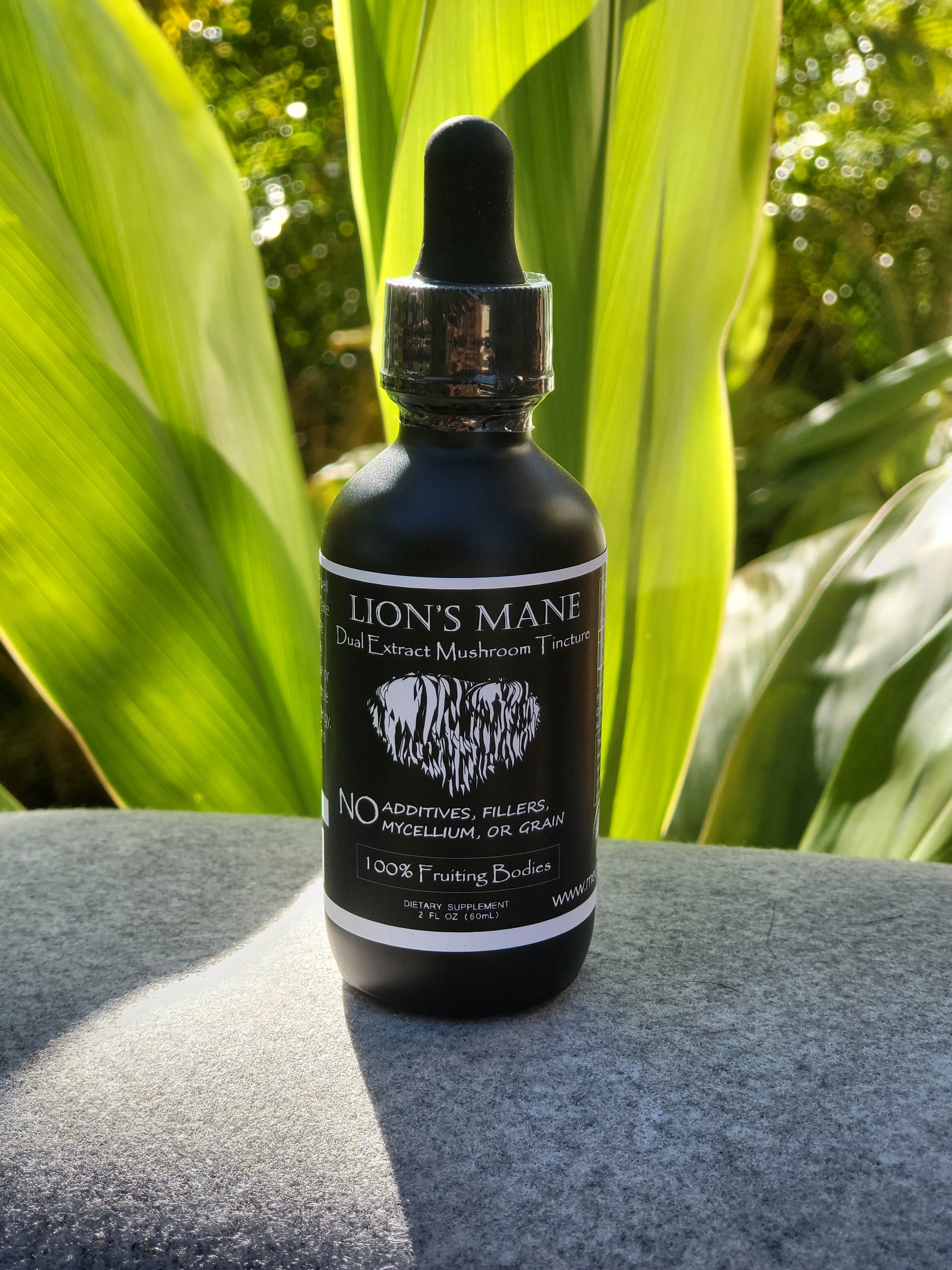 Lion's Mane Dual Extract Tincture