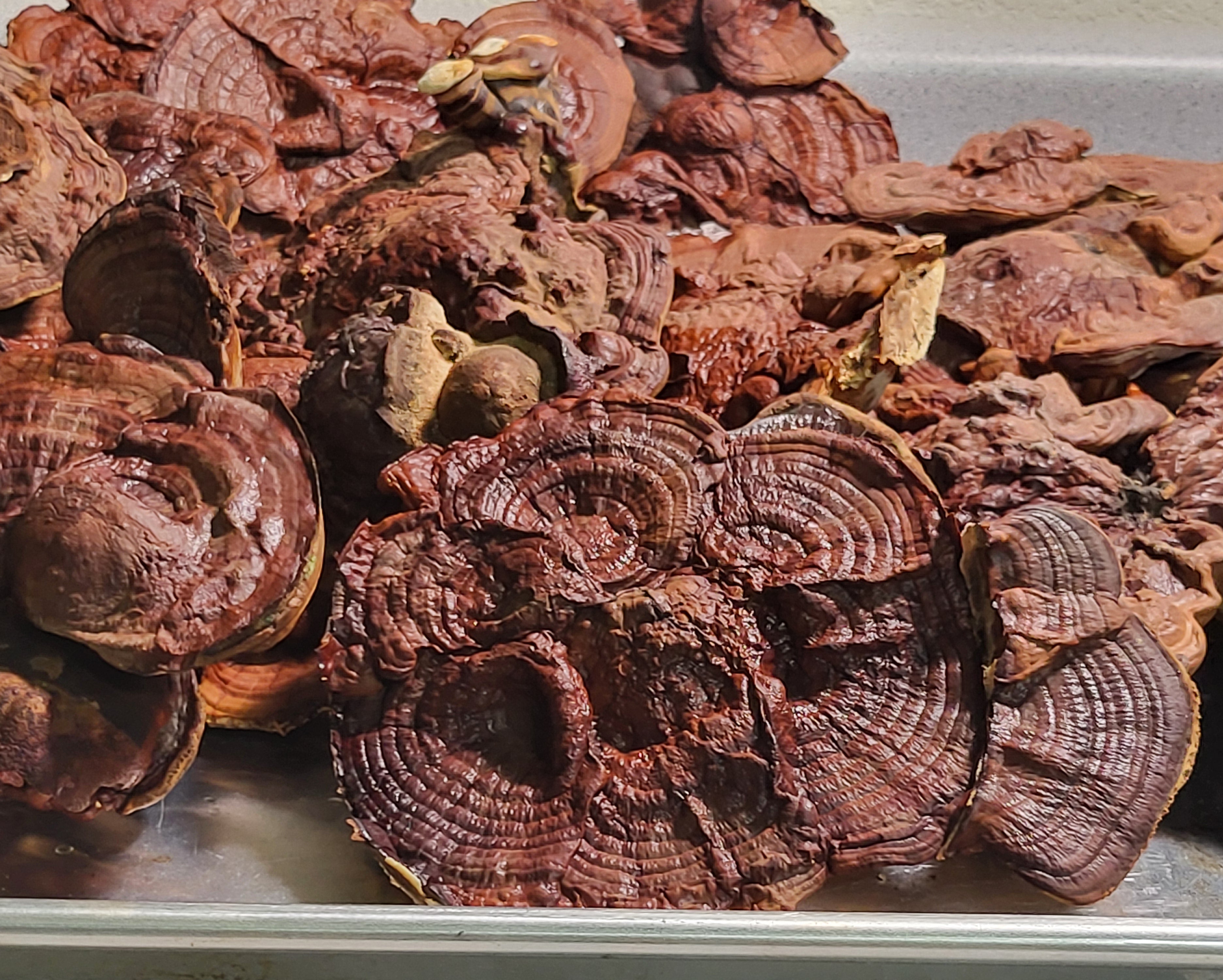 Entrepreneur's Edge Bundle