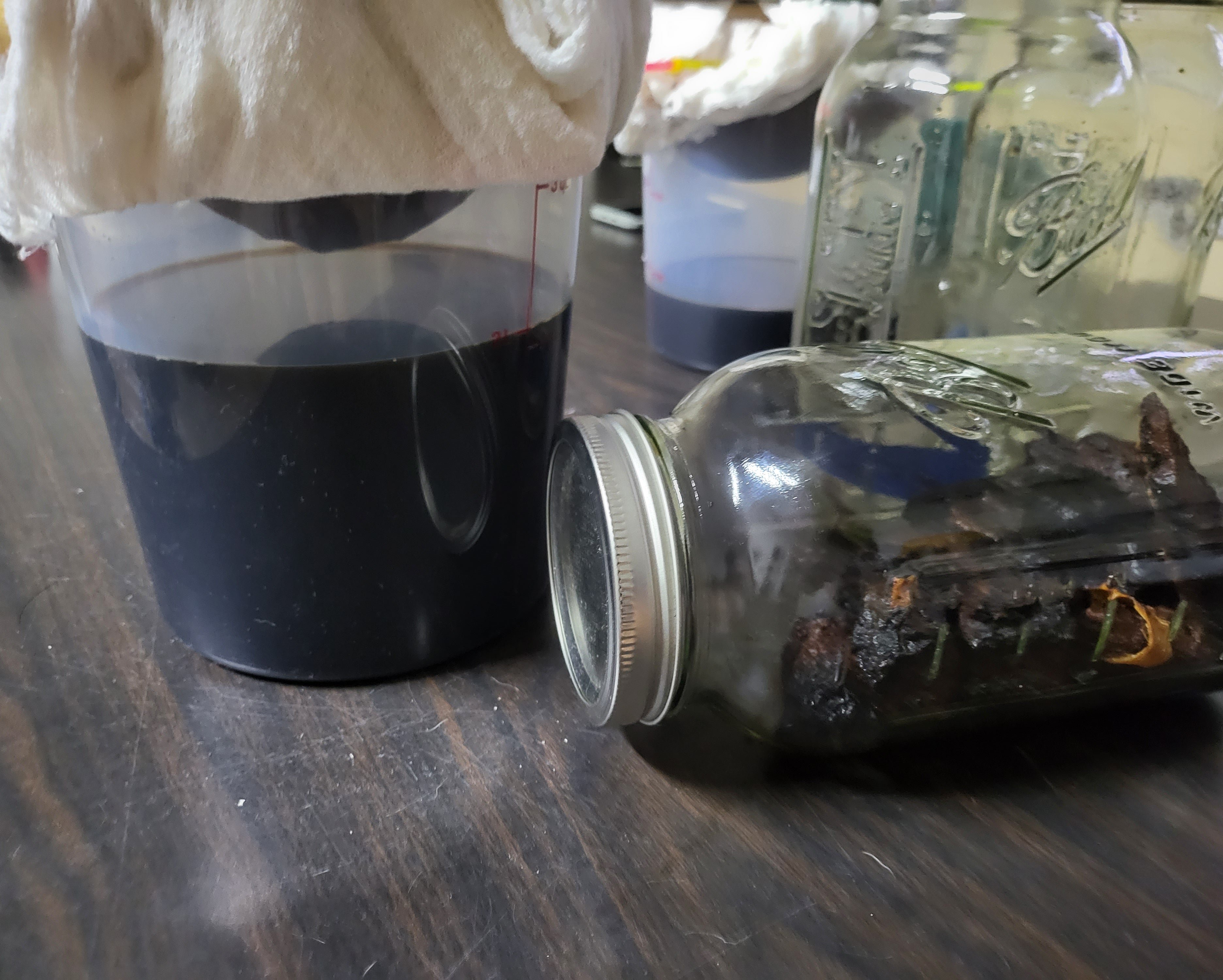 Chaga Dual Extraction Tincture image 1