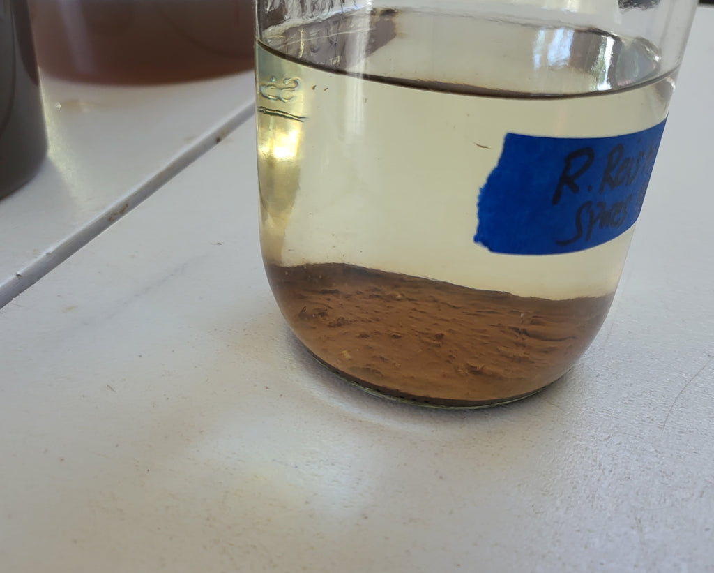 Red Reishi Dual Extract Tinctures image 5