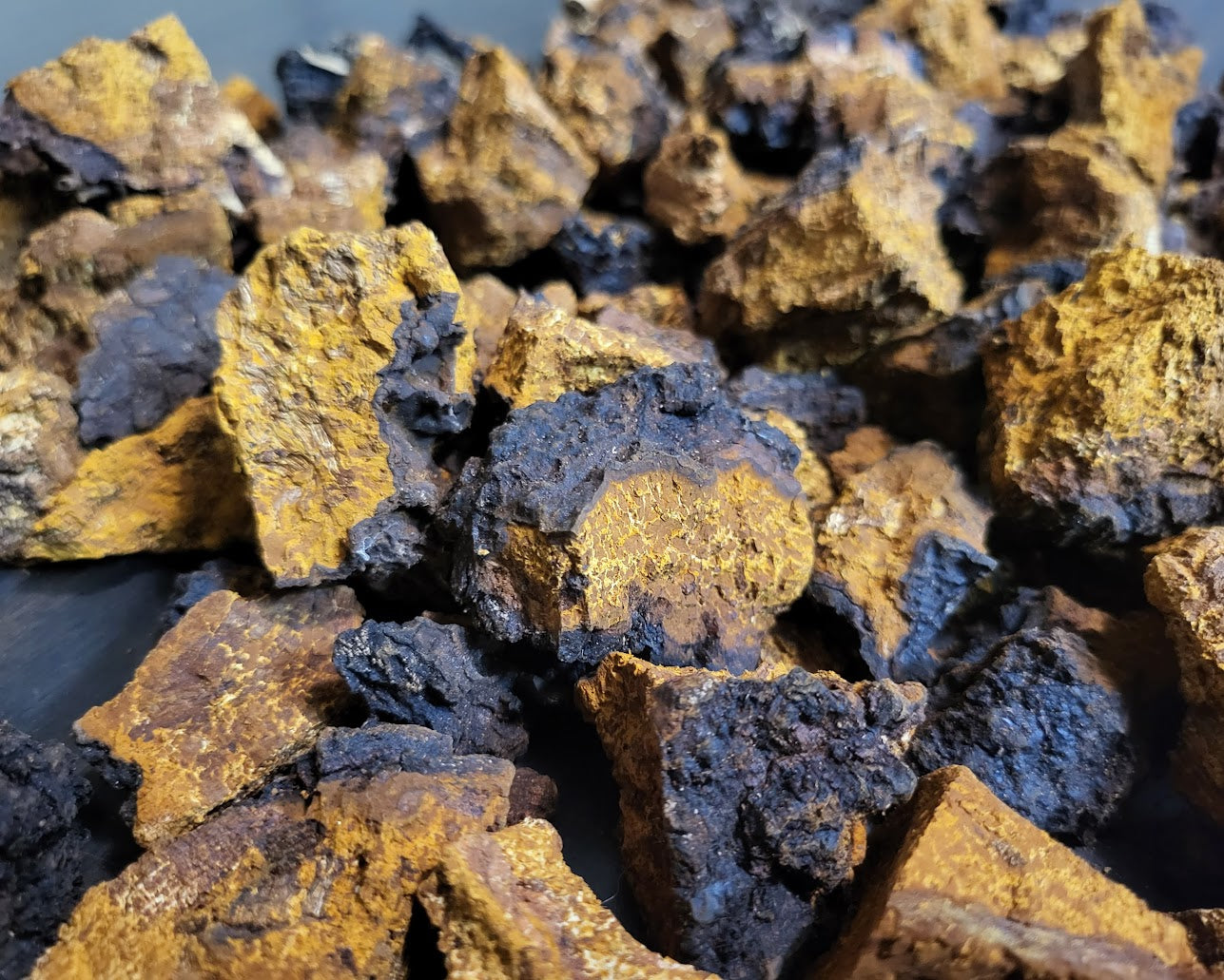 The Apex Collection Bundle