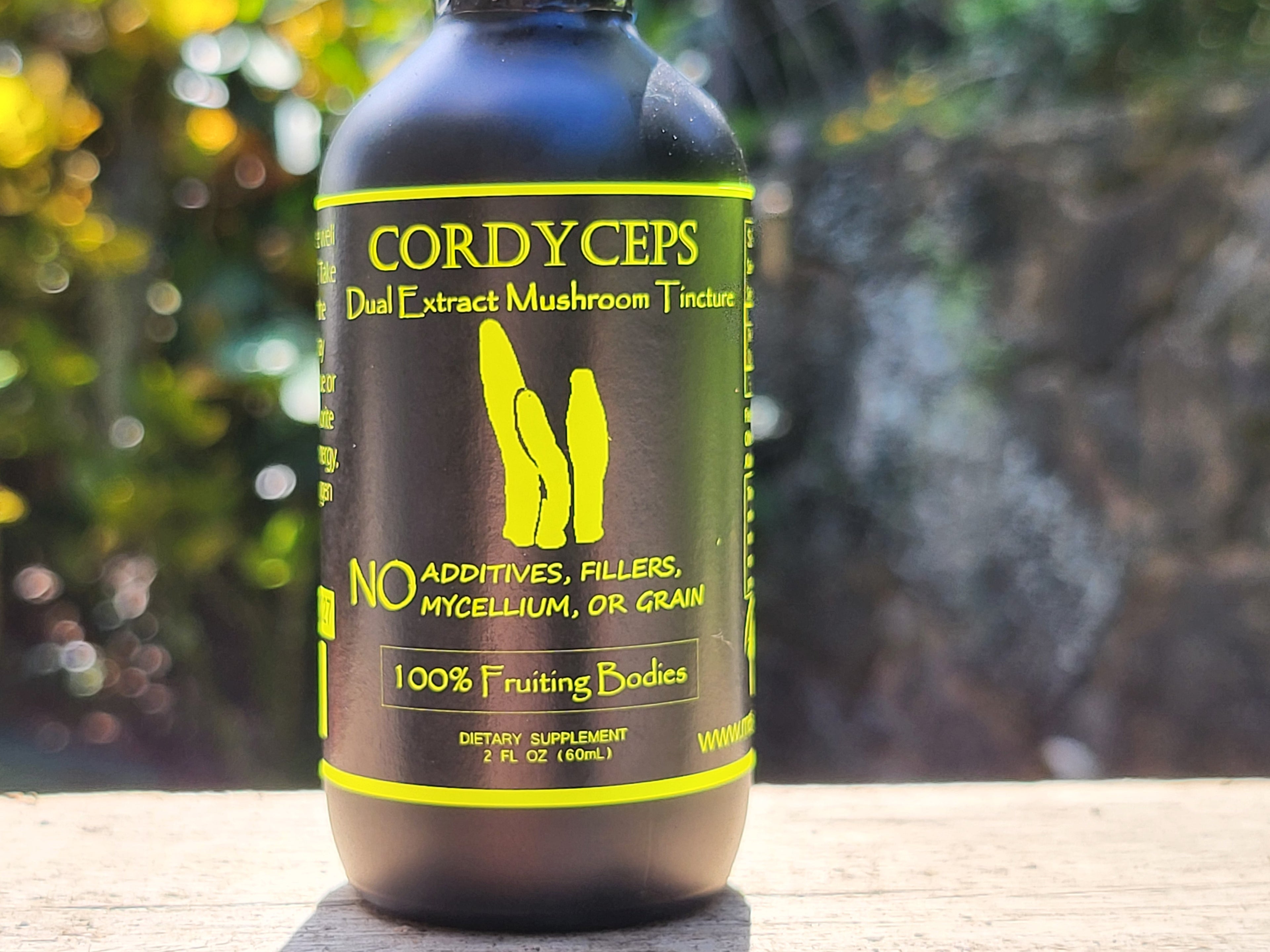 The Apex Collection Bundle