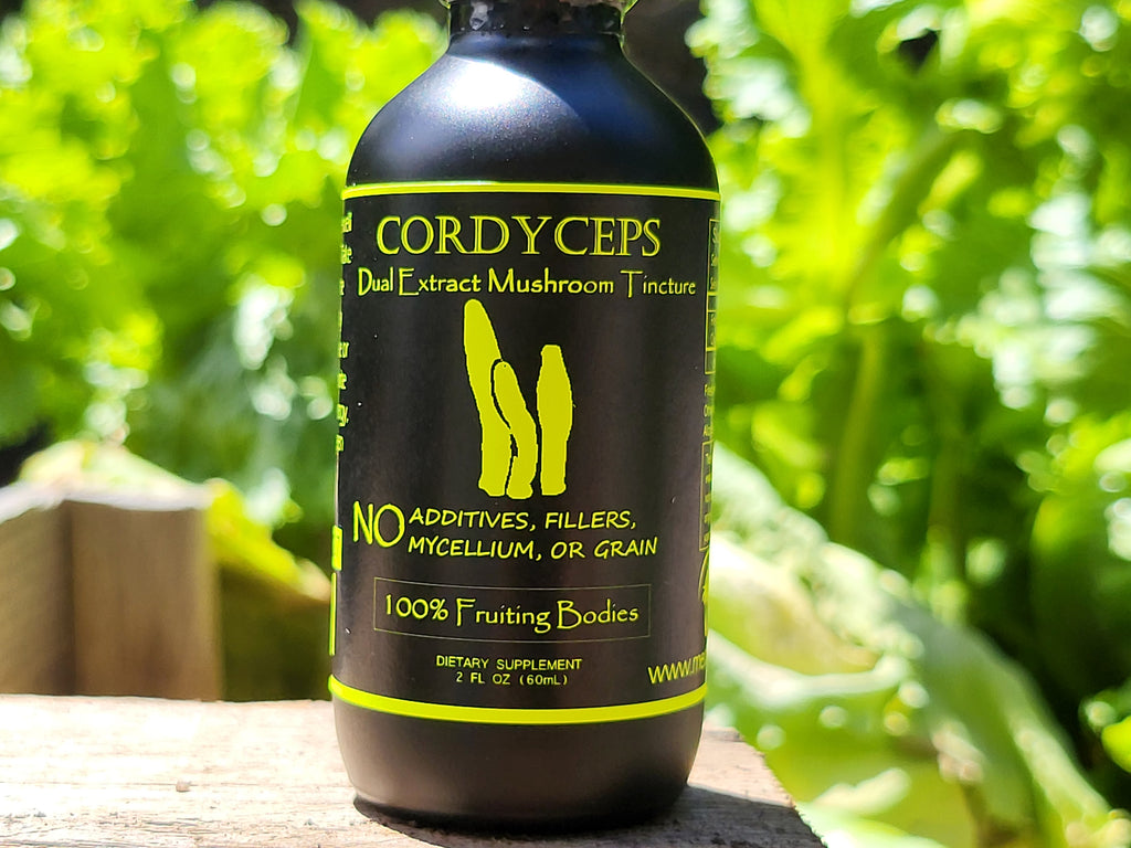 Cordyceps Dual Extraction Tincture