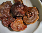 Red Reishi Dual Extract Tinctures image 4
