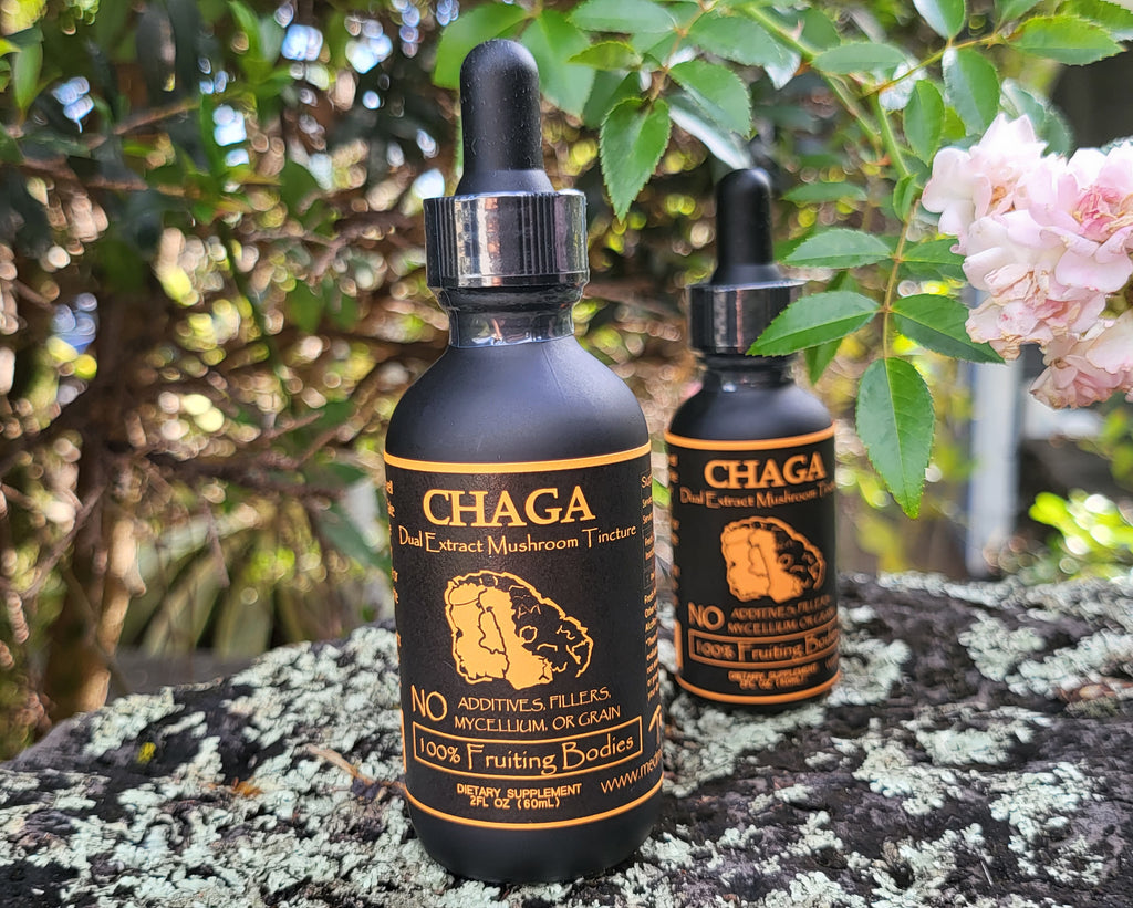 Chaga Dual Extraction Tincture image 4